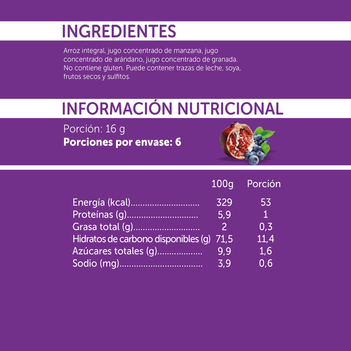 Galleta de Arroz Arándano Mizos