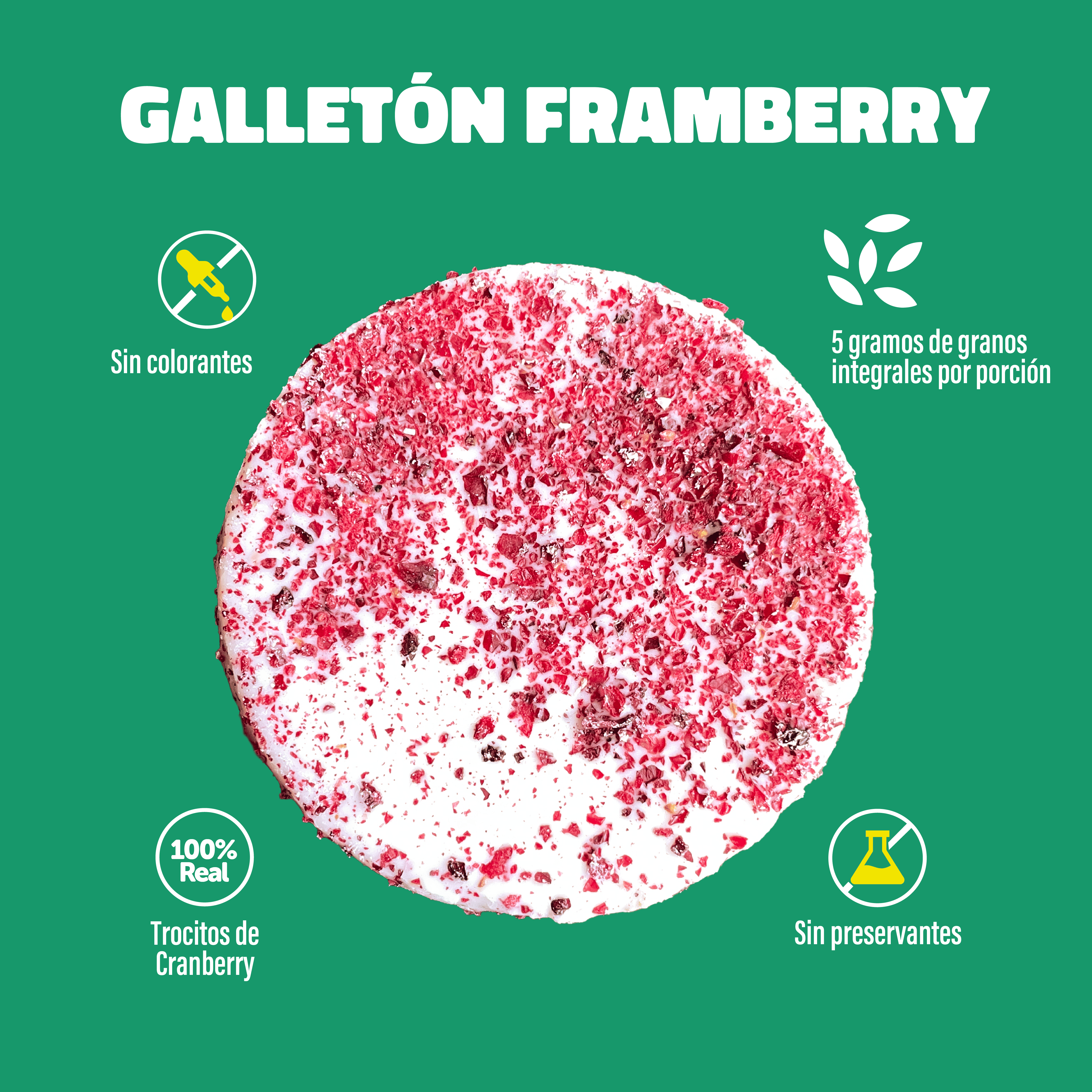 GALLETÓN DE ARROZ FRAMBERRY 115G - PACK 4x2UN